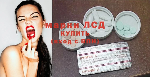 apvp Алзамай