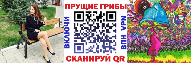 MEGA ТОР  Донской  Галлюциногенные грибы Psilocybine cubensis 
